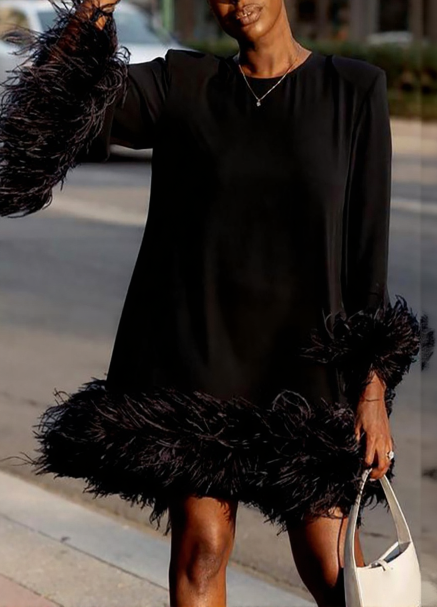 Asymmetrical Hem Feathered Mini Dress