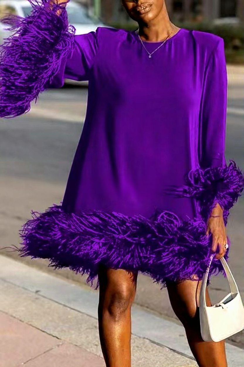 Asymmetrical Hem Feathered Mini Dress