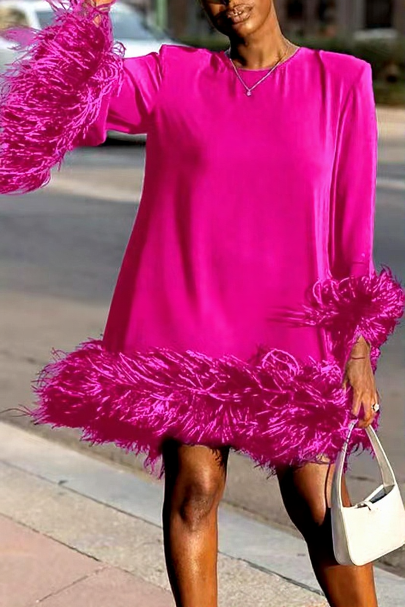 Asymmetrical Hem Feathered Mini Dress